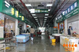 筑牢安全防線，守護舌尖健康——成都農產品中心批發市場商家深入學習食品安全法與食用農產品批發規范