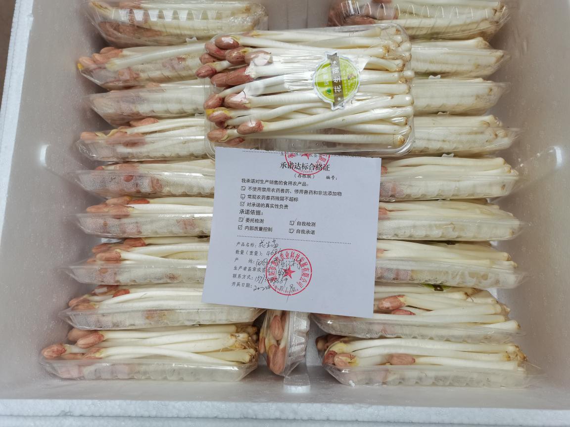 推進承諾達標(biāo)合格證制度 守護“舌尖上的安全”——食用農(nóng)產(chǎn)品批發(fā)專項行動紀(jì)實